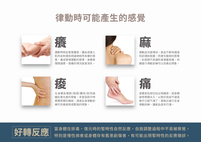 5D活循水平律動床|南良集團|南良集團H&H|南良水平律動床|律動床